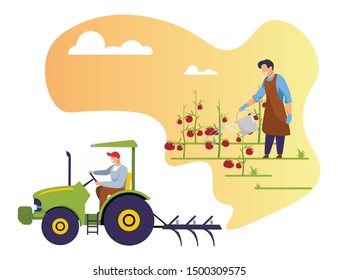 Man Farmer Work on Garden Bed Watering Ripe Tomatoes. Gardener, Worker Driving Tractor, Caring for Garden, Growing Agricultural Products, Agrarian Industry Occupation. Cartoon Flat Vector Illustration