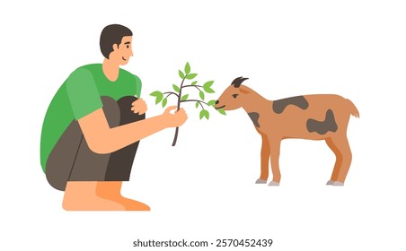 Man feed a goat with small green leaves in branch