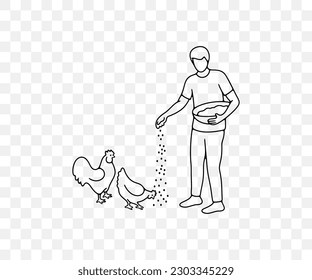 Man feeds chickens grain from the basket, rooster and hen, linear graphic design. Animal, bird, agriculture, farm, chicken coop and poultry yard, vector design and illustration
