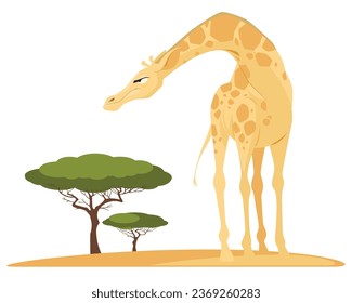 Man feeds giraffe at zoo. Illustration concept template for website, web landing page, banner, presentation, social, poster, promotion or print media.