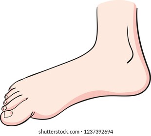 man foot with his toes