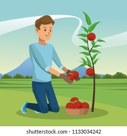 Man and garden cartoon