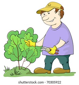 Man gardener works in a garden, cuts a bush with secateurs