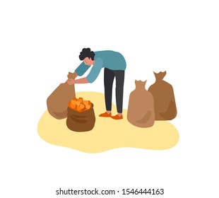 Man gathering crops or seasonal harvest, collecting ripe vegetables. Men on farm. Agricultural workers in autumn. Cartoon vector illustration