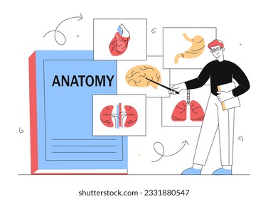 Man in glasses with anatomy line concept. Young guy with educational materials and infographics. Brain, lungs, digestive system and heart. Knowledge and education. Linear flat vector illustration