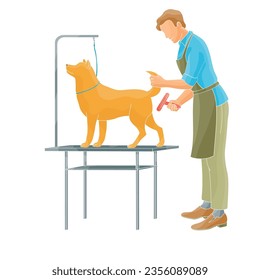 man groomer combing a  dog