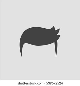 Man hair style icon