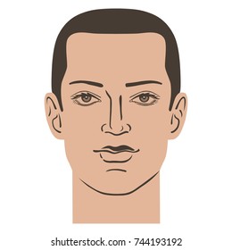 Man hairstyle head (front), vector illustration isolated on white background