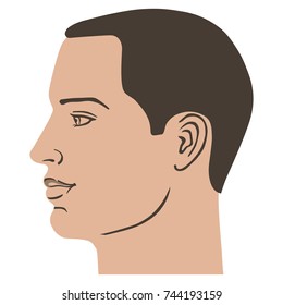 Man hairstyle head (side), vector illustration isolated on white background