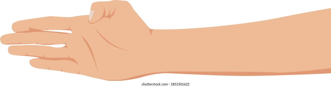 Mano de hombre. Mano aislada en un fondo blanco. Ilustración del vector