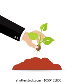 Man hand planting seeds