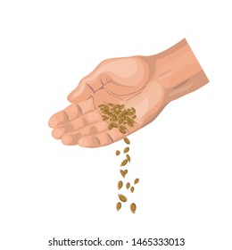 Man hand sowing grain. Farmer planting seeds. Vector illustration isolated on white background