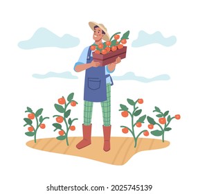 Man harvesting fresh ripe tomatoes, farmer with basket of natural organic product. Farming and agriculture, male personage working on soil with plants. Cartoon character in flat style vector