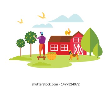 Man Harvesting Ripe Olives to Basket in Garden with Barn, Poultry and Dog Isolated on White Background, Natural Organic Production, Farming Industry, Eco Oil Producing Cartoon Flat Vector Illustration