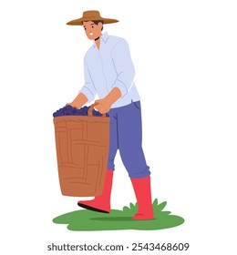 Man In Hat And Boots Carries A Large Basket Filled With Freshly Picked Grapes. He Is Dressed In Casual Farming Attire, Smiling While Working Outdoors During The Grape Harvest Season In The Vineyard