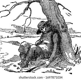 A Man With Hat On Head Sitting Under Tree And Fall Asleep, Vintage Line Drawing Or Engraving Illustration