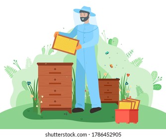 Man in hat with protective fine mesh and in overalls holds a frame with honeycombs. Honey bees. Beekeeping. Houses for bees, beehives. Get honey. Sweet, wax, mummy. Useful food products