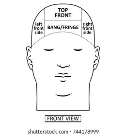 Man head divisions scheme template (front view), vector illustration isolated on white background