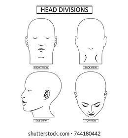 Man head divisions scheme template (front, back, top, side views), vector illustration isolated on white background