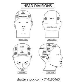Man head divisions scheme template (front, back, top, side views), vector illustration isolated on white background