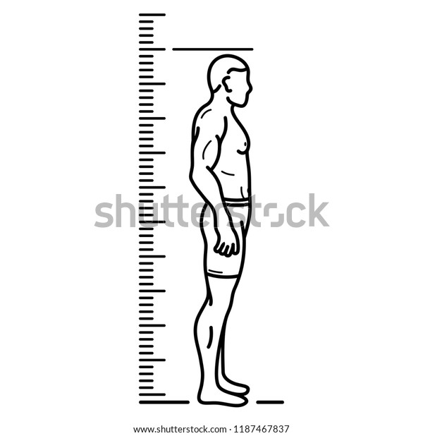 Man and height\
chart. Growth Chart Ruler. Vector flat outline icon illustration\
isolated on white\
background.