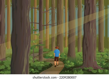 Man hiking in the thick forest with sunrays