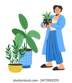 Der Mensch hält Blumen im Topf. Zimmerpflanzen wachsen Hobby. Mann mit Sukkulenten und Ficus, Interieur dekorative Elemente. Moderner Innengarten, Menschen pflegen Grün. Vektorgrafik Cartoon flache isolierte Illustration