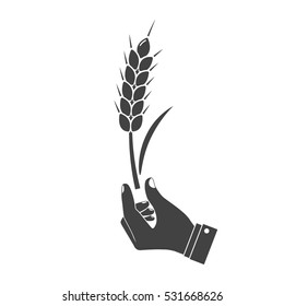 Man holding in hand wheat ear, black icon isolated on white background. Wheat spike holding farmer, peasant. Development agriculture, farming. Symbol of harvest. Vector illustration silhouette design.