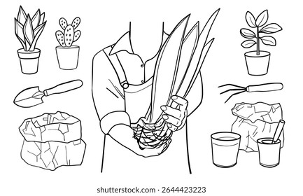 Homem segurando planta de casa em mãos. Conceito de cuidado de plantas, transplante de plantas, horta, jardinagem, cultivo de plantas. Ilustração linear vetorial com conceito de jardinagem doméstica