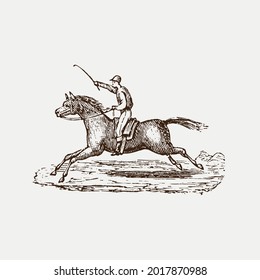 man horse art vector design