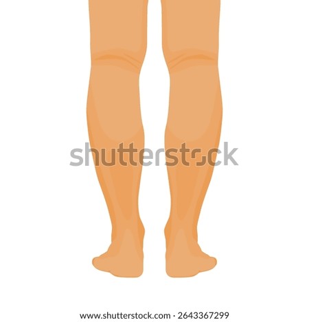 Man legs barefoot back view isolated on white background