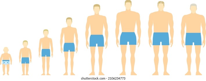 Man life cycle flat vector illustration. Stages of aging men. The human body aging process. Caucasian