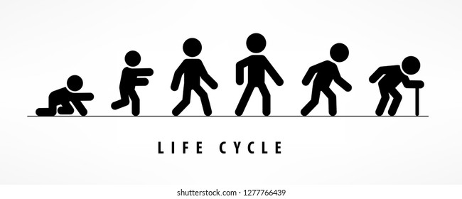 Man lifecycle from birth to old age on white. Life cycle and aging process. Person growing up from baby to old age. Vector illustration.