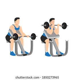 Man lifting barbell in a gym on EZ bar preacher curl, making biceps exercise. isolated on white background and layers. Workout character