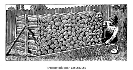 A man measuring the number of cords of wood in a pile with the help of measurement tape, vintage line drawing or engraving illustration.