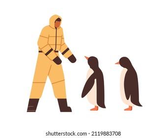 Man meeting Arctic penguins. Bird keeper at South pole, Antarctica. Polar antarctic scientist zoologist studying animals. Flat vector illustration isolated on white background