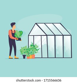 Man near the greenhouse, agriculture, spring, vegetable planting season. Flat design vector illustration.