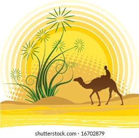 Man on the camel at desert