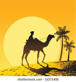 Man on the camel at desert and palm tree