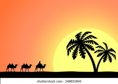 The man on the camel in palm trees at sunset.