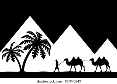 Man on the camel the pyramids.