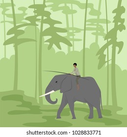man on an elephant in the jungle