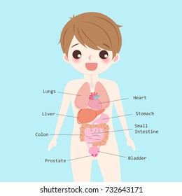 man with organs on the blue background