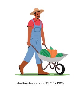 Man Pick Harvest to Wheelbarrow in Orchard. Gardener Character Seasonal Work on Farm. Farmer Harvesting Ripe Fruits and Vegetable in Garden, Ecological Farm Production. Cartoon Vector Illustration