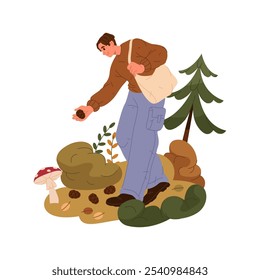 Man picks pine cones in the forest. Vector illustration or banner. Gatherer collects fir or spruce cones in a bag. Autumn woodland walk or hobby. Seasonal leisure activity. Natural conifer cone.