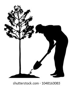 Man planting a tree