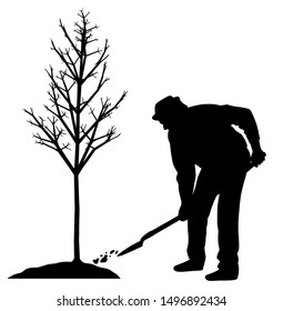 Man planting a tree silhouette illustration