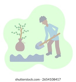 A man plants a tree. Digging the ground with a shovel. Young bush for planting, wrapped in a canvas bag. Color vector illustration. Isolated white background. Flat style. Digging a garden bed. 