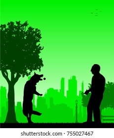 Man playing with his dog in the park silhouette layered