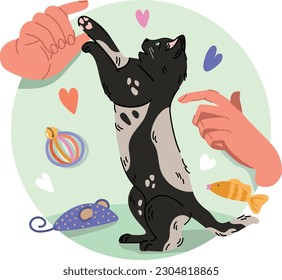 man playing with kitten. cat standing on its hind legs. cat playing with hands. cute playful kitten vector hand drown illustration. lovely pet playing with pet toy. pet care. fun game with a kitten.